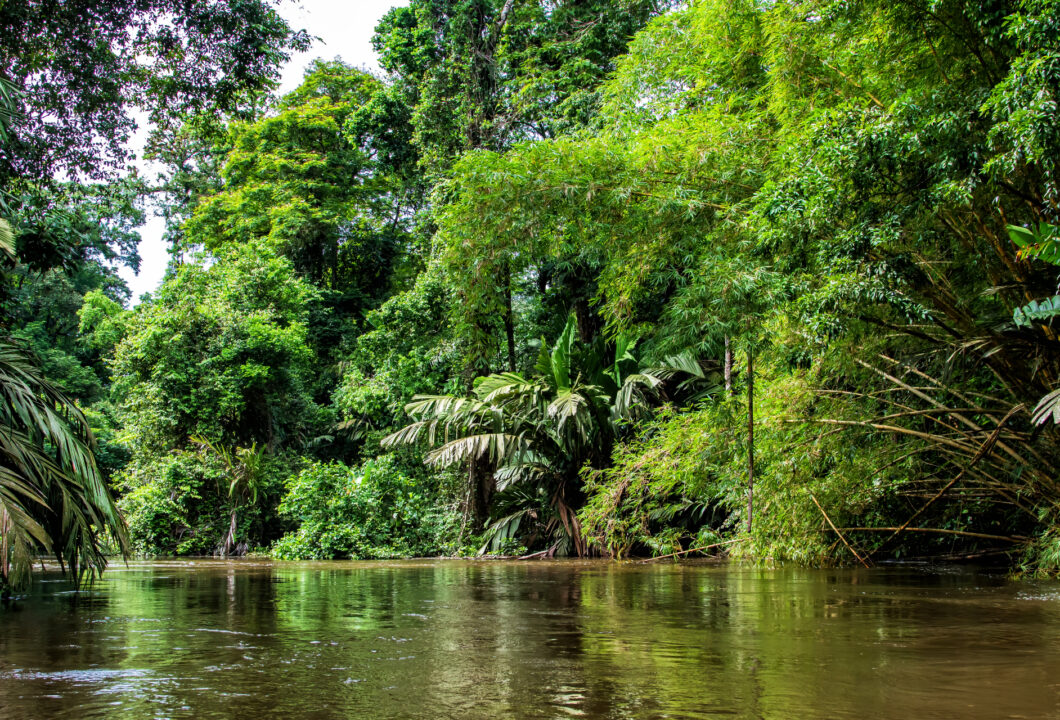 Tortuguero Nationalpark