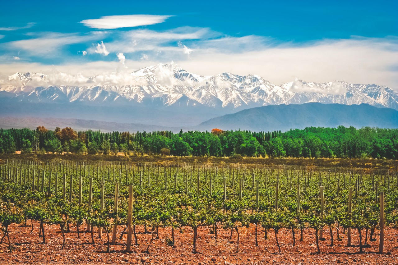 Mendoza Argentinien