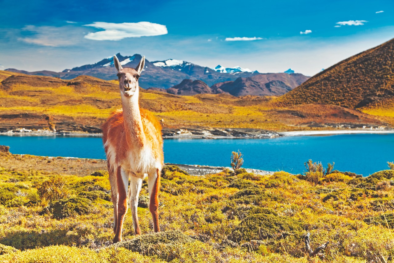 Torres del Paine Chile