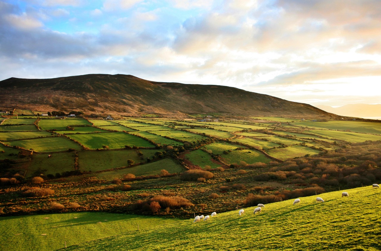 Dingle Peninsula, Irland