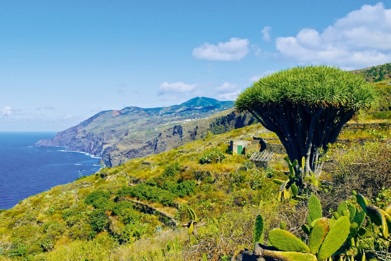 Isla Verde La Palma Spanien