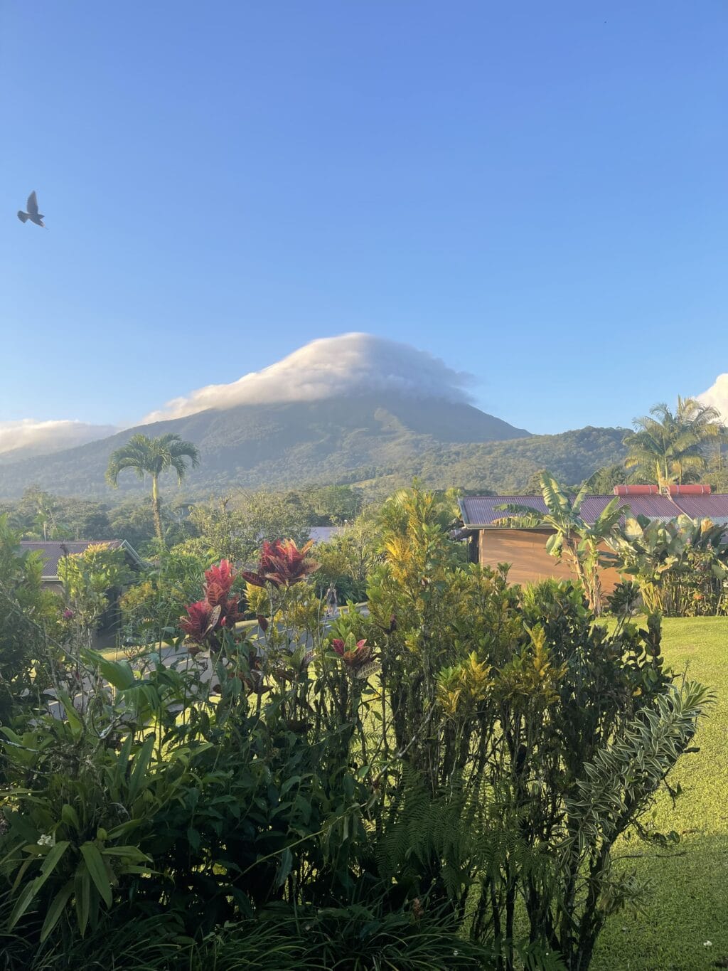 Vulkan Arenal, bei La Fortuna